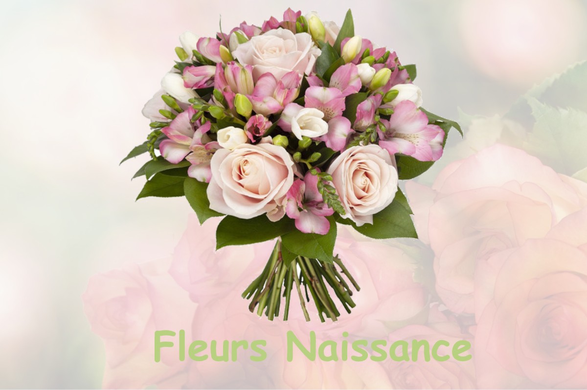 fleurs naissance SAINT-PIERRE-CHERIGNAT